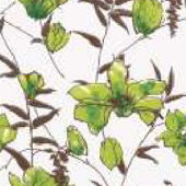 <a href='thumbs/wall/wall6.jpg'>Palma Nevada Decor</a>